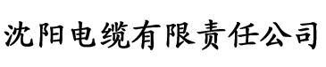 亚洲av永久无码精品网站色欲电缆厂logo